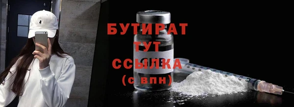 гидра Гусев