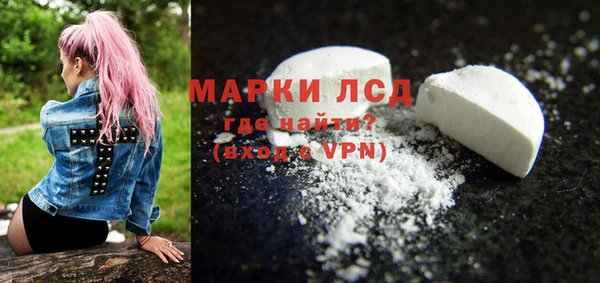 гидра Гусев