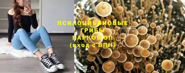 гидра Гусев