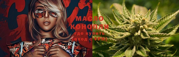 гидра Гусев