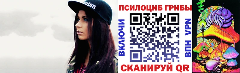 kraken онион  Дедовск  Галлюциногенные грибы мицелий 